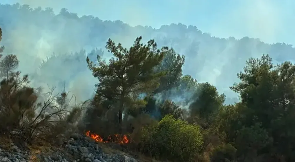 3 ilde orman yangını alarmı! Antalya ve Muğla'da alevler kontrol altına alındı; Aydın'da müdahale sürüyor