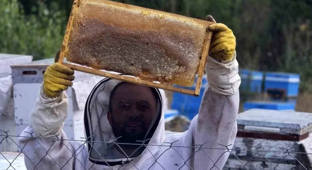 Nalburken merakla başladı arıcı oldu! 3 kovanla sınırları aşıp 250 kovana çıkardı