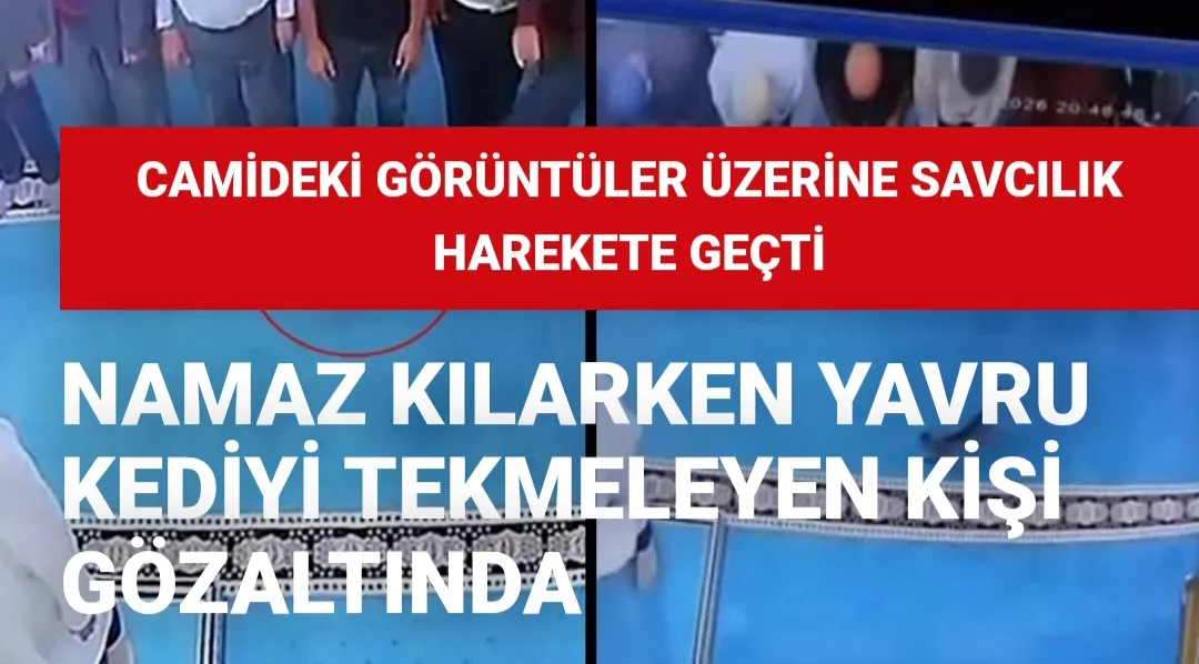 Camideki görüntüler üzerine savcılık harekete geçti: Namaz kılarken yavru kediyi tekmeleyen kişi gözaltında
