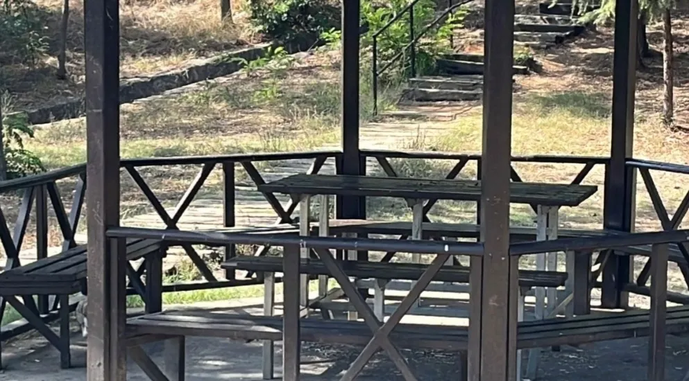 Kızıyla piknik yapıyordu: Uzaklaştırma kararı bulunan eşi tarafından bıçaklandı