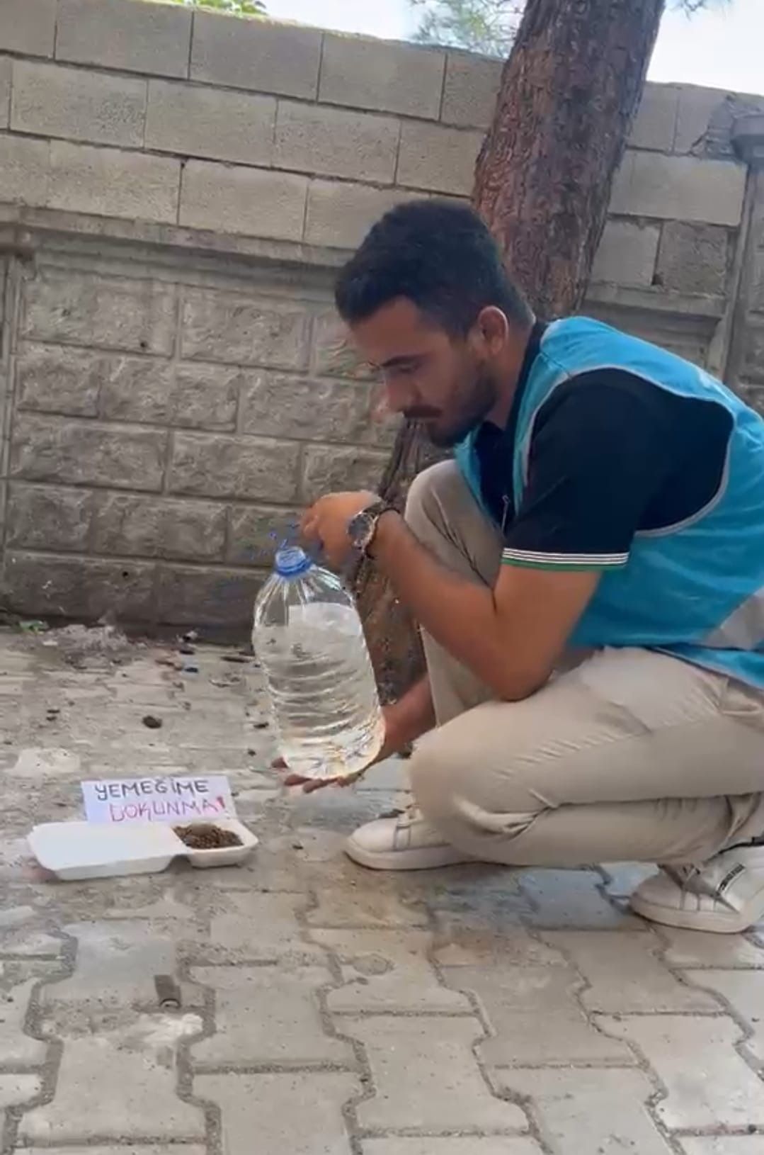 Sokak hayvanları için anlamlı çağrı.